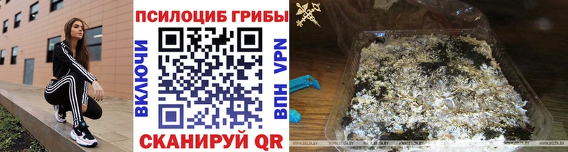Псилоцибиновые грибы Psilocybine cubensis  Купить закладки  Олонец 